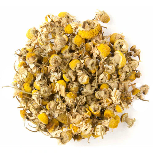 Organic Egyptian Chamomile